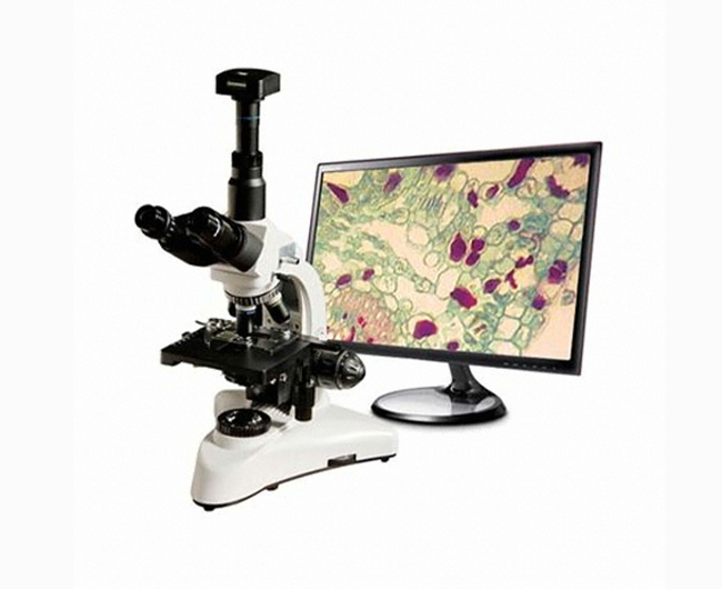 디지털 CCD 카메라 부착형 광학 현미경